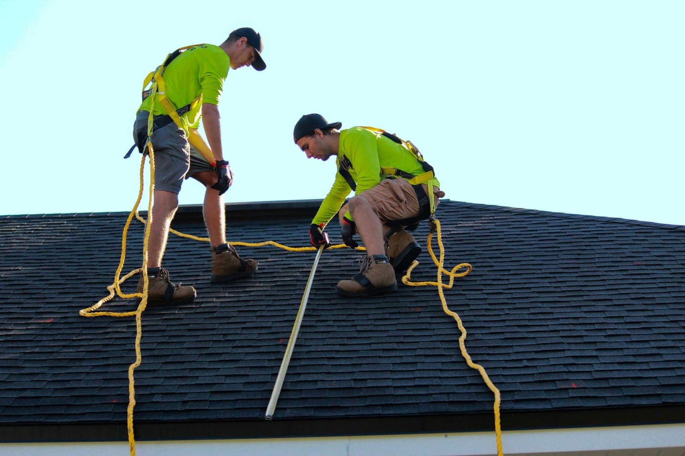 A suburban roof seen from above, one corner shaded by a gum tree